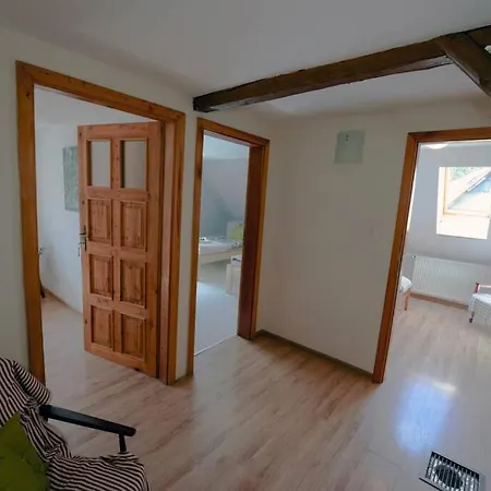 Czarny Bocian W Podgorzynie *