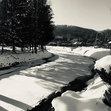 Tatil Evi Czarny Bocian W Podgorzynie *