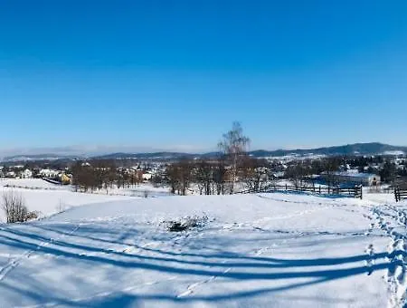 Czarny Bocian W Podgorzynie *