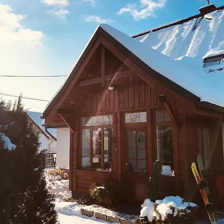 Czarny Bocian W Podgorzynie