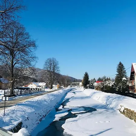 Czarny Bocian W Podgorzynie