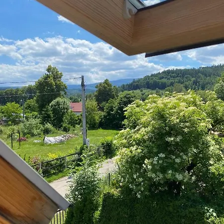 Czarny Bocian W Podgorzynie