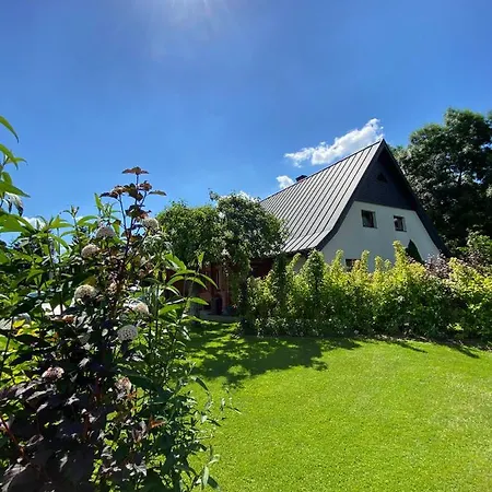 Czarny Bocian W Podgorzynie *