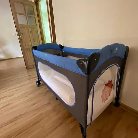 Czarny Bocian W Podgorzynie