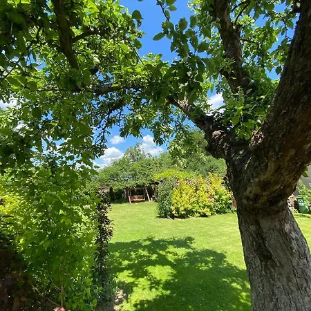 Czarny Bocian W Podgorzynie Casa vacanze Podgórzyn