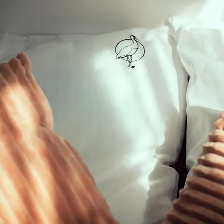 Tatil Evi Czarny Bocian W Podgorzynie Podgórzyn