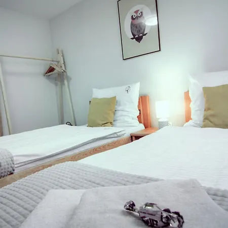 Czarny Bocian W Podgorzynie *