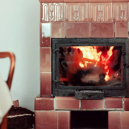 Czarny Bocian W Podgorzynie * Podgórzyn