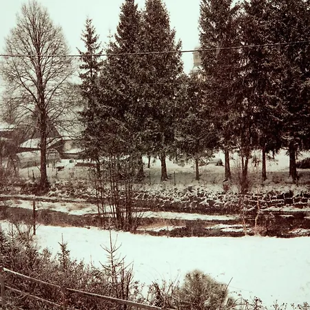 Czarny Bocian W Podgorzynie Podgórzyn