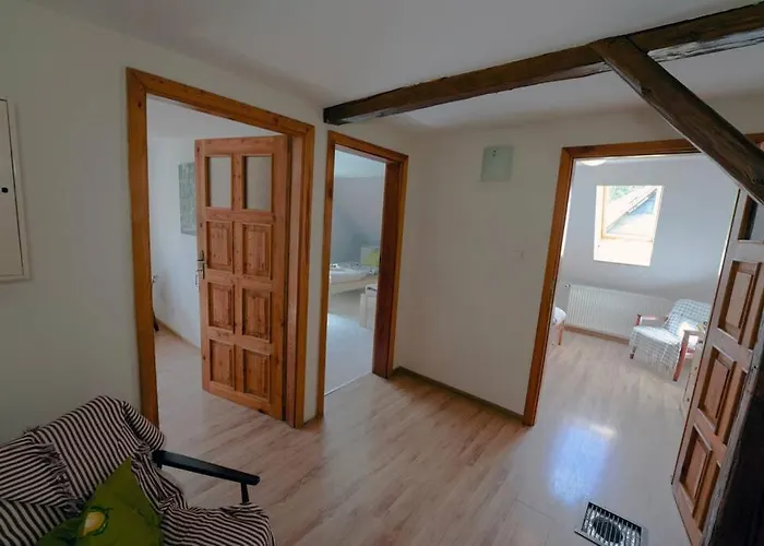 Czarny Bocian W Podgorzynie *