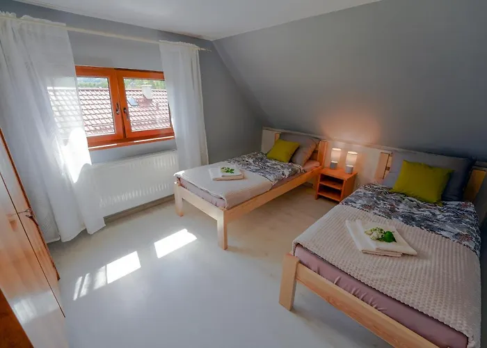 Czarny Bocian W Podgorzynie