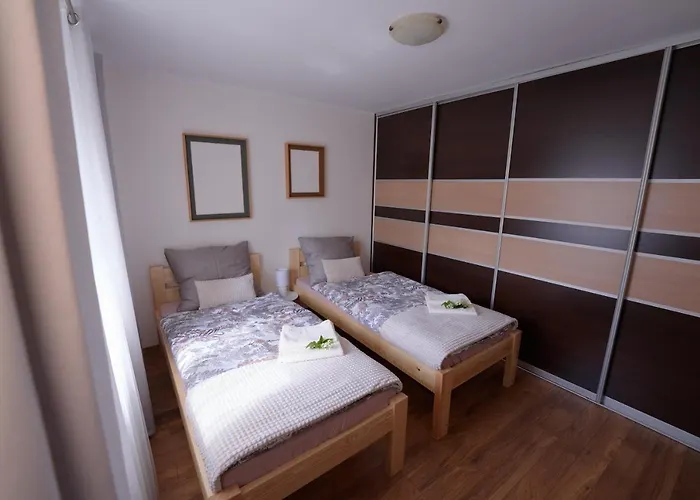 Czarny Bocian W Podgorzynie