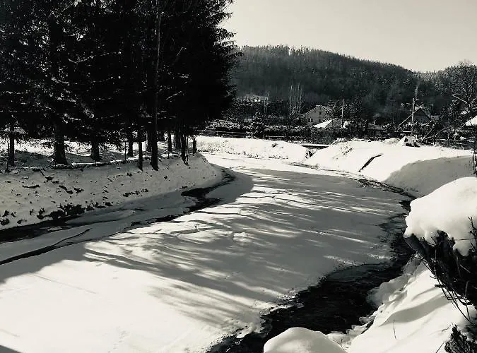 Holiday home Czarny Bocian W Podgorzynie *