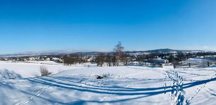 Czarny Bocian W Podgorzynie *