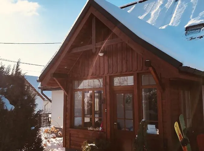 Czarny Bocian W Podgorzynie