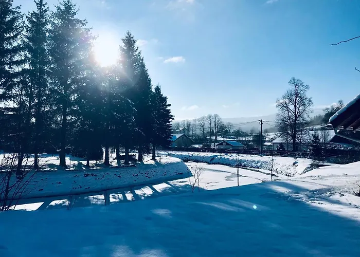 Czarny Bocian W Podgorzynie 펜션 포드고르진