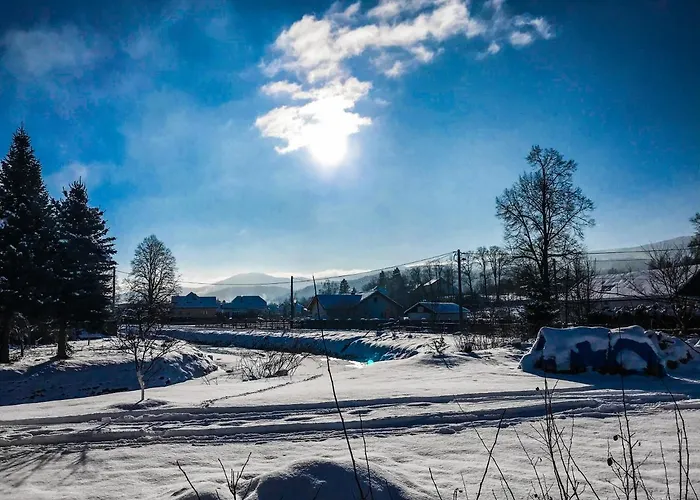 Czarny Bocian W Podgorzynie 포드고르진