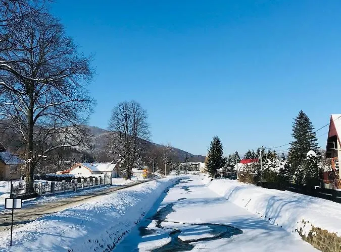 Czarny Bocian W Podgorzynie