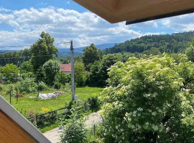 Czarny Bocian W Podgorzynie