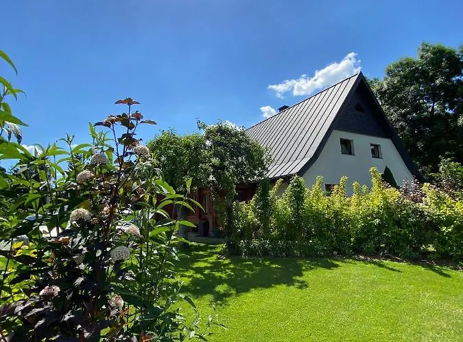 Czarny Bocian W Podgorzynie *