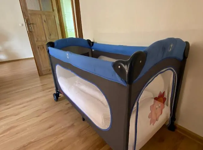 Czarny Bocian W Podgorzynie