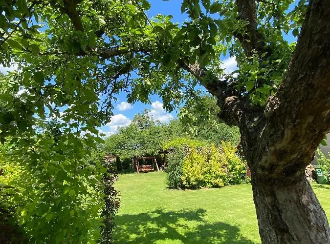 Czarny Bocian W Podgorzynie 펜션 포드고르진