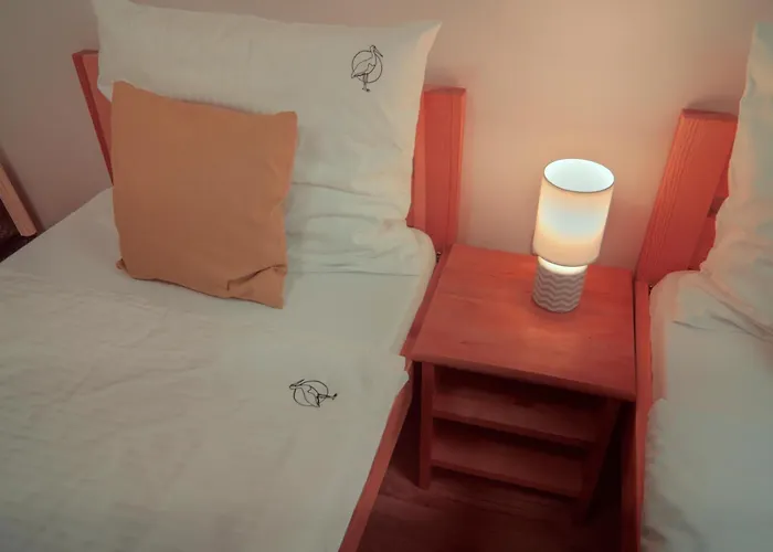 Czarny Bocian W Podgorzynie 포드고르진