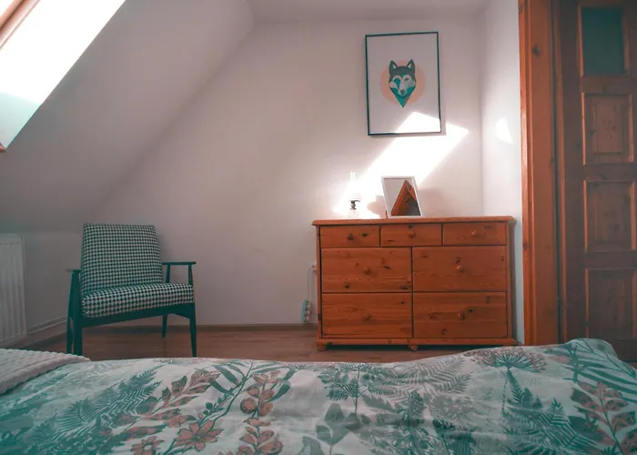 Czarny Bocian W Podgorzynie * 포드고르진