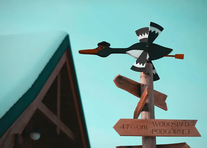 Czarny Bocian W Podgorzynie *