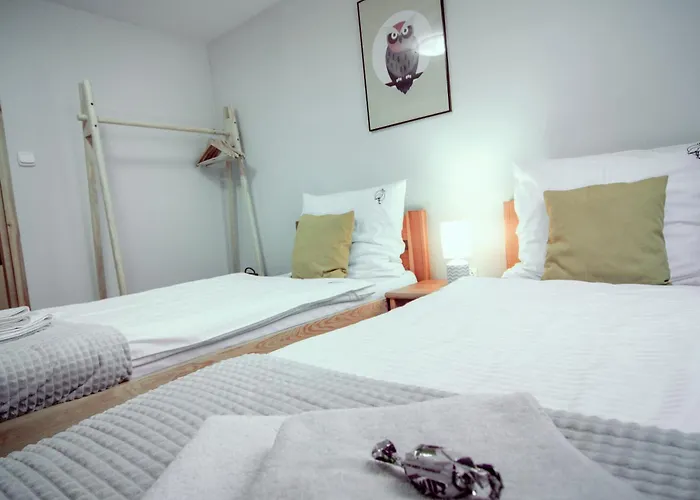 Czarny Bocian W Podgorzynie *