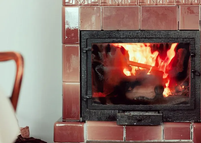 Czarny Bocian W Podgorzynie * 포드고르진