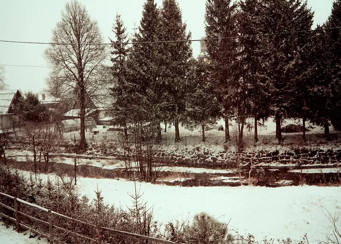 Czarny Bocian W Podgorzynie 포드고르진